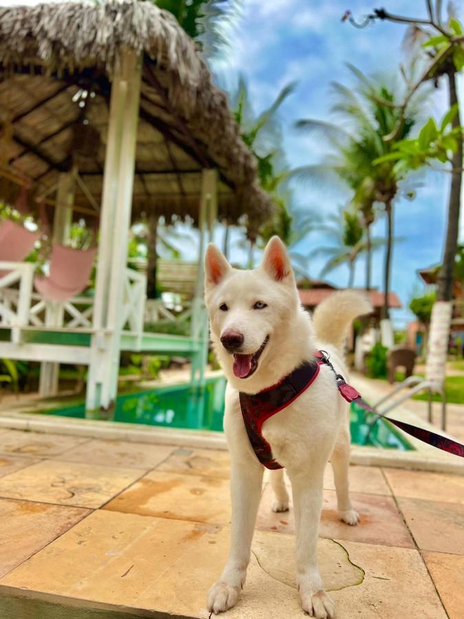 Ville Sweet Home Canoa Quebrada Luaran gambar